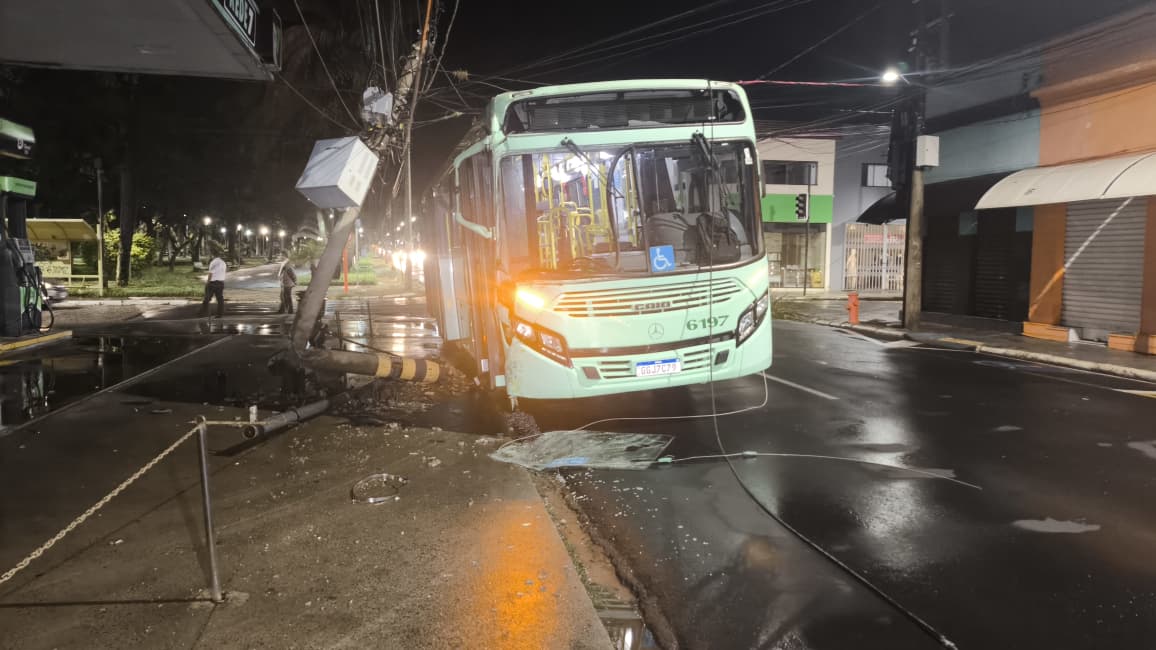 Foto 10 de 67 — TEMPORAL EM FOTOS: veja imagens de destruição em Araraquara